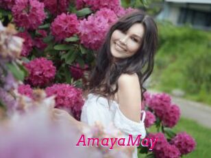 AmayaMay