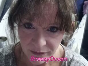 BreezyOcean