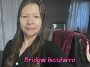 Bridget_banderro