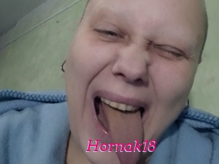 Hornak18