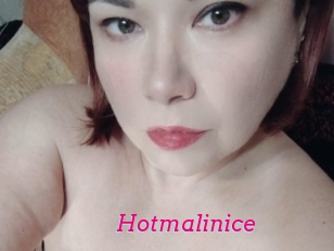 Hotmalinice