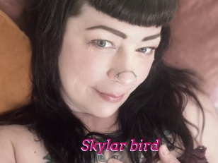 Skylar_bird